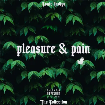 PLEASURE AND PAIN by Louie Indigo