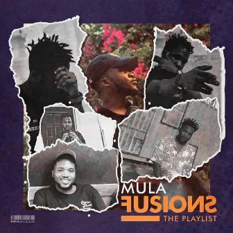 Fusions, The Playlist by Mula