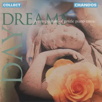 Daydreams - Gentle Piano Music by Miceal O'Rourke