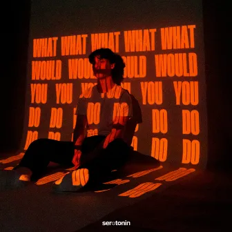 What Would You Do by Julian Bates