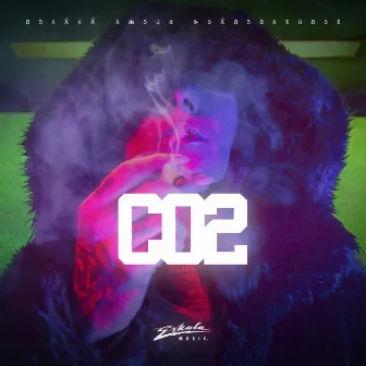 CO2 by Don Leon