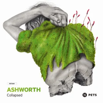 Collapsed EP by Ashworth