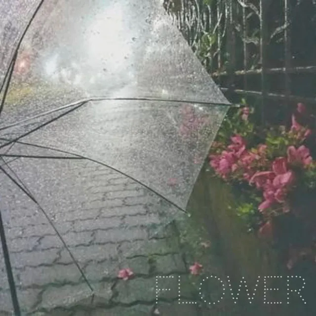 Flower (Instrumental)