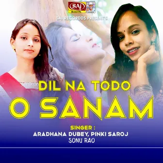 Dil Na Todo O Sanam by Pinki Saroj