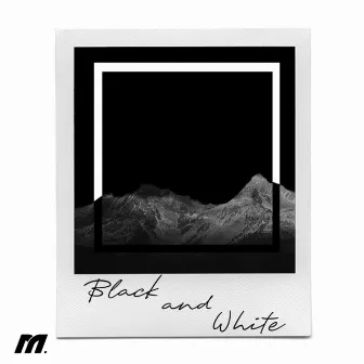 Black and White by BIG8