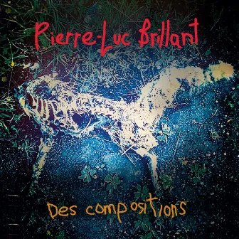 Des compositions by Pierre-Luc Brillant