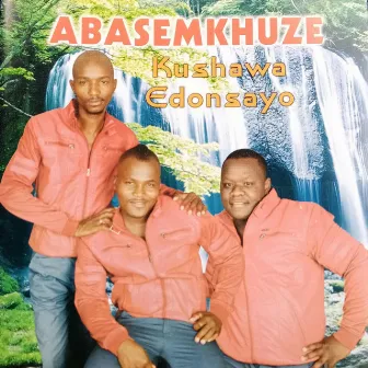 Abasemkhuze Khushawa Edonsayo by Mroza Van Damme Fakude