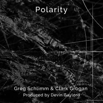 Polarity by Clark Grogan