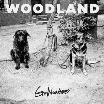 Go Nowhere by Woodland