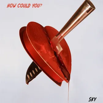 How Could You? by Skyler Rossa