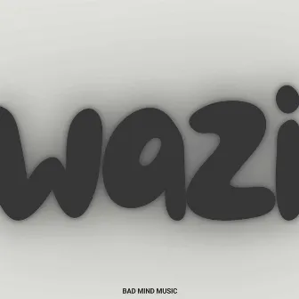 Wazi by Mr Shad