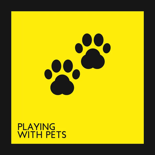 Playing with Pets - Time Together and Intensive Relax