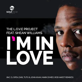 I'm In Love by The L.O.V.E Project