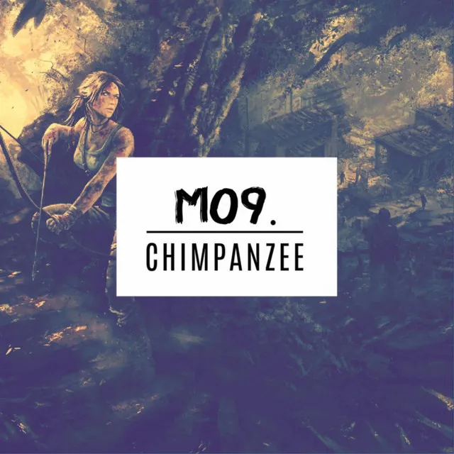 Chimpanzee