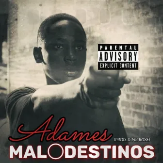 Maldestino by Adames