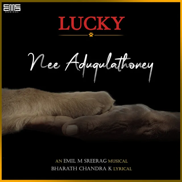 Nee Adugulathoney (From Lucky)