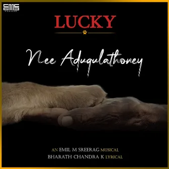 Nee Adugulathoney (From Lucky) by Emil M Sreerag