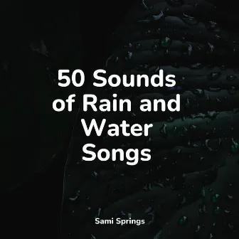 50 Sounds of Rain and Water Songs by Water Soundscapes