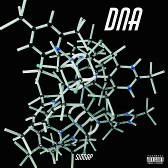 DNA by SINNAP