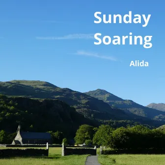 Sunday Soaring by Alida