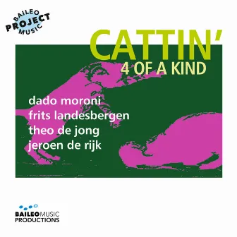 Cattin' by Baileo Music Project