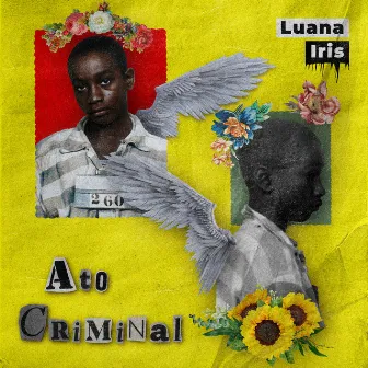 Ato Criminal by Luana Iris