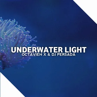 Underwater Light by Octavien X