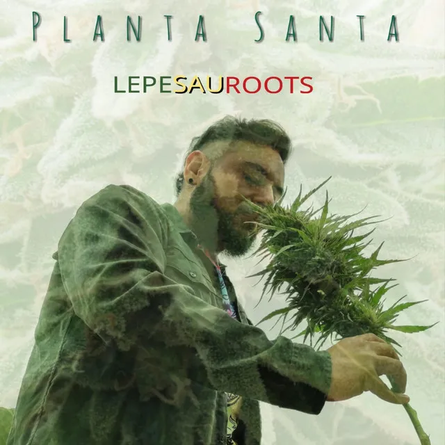 Planta Santa