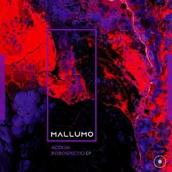 Acidum Introspectio EP by Mallumo