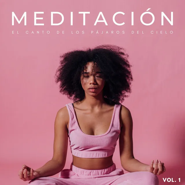 Meditación: El Canto De Los Pájaros Del Cielo Vol. 1