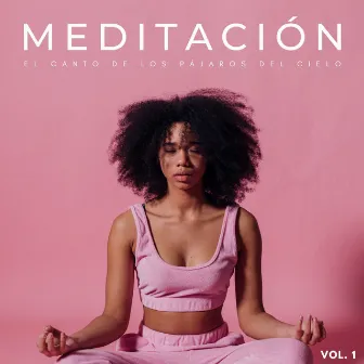 Meditación: El Canto De Los Pájaros Del Cielo Vol. 1 by 