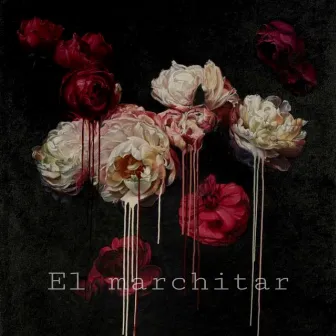 El Marchitar by Smokhash HK