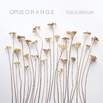 Equilibrium by Opus Orange