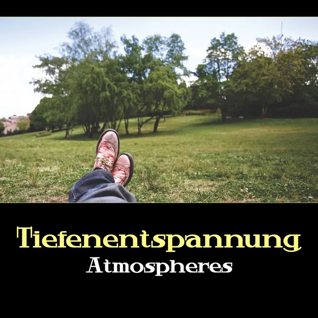 Tiefenentspannung Atmospheres - Achtsamkeit Meditation, Yoga Musik, Zen Zustand, Innerer Frieden, Spa Regeneration,Schlaf Gut