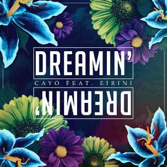 Dreamin' by Cayo