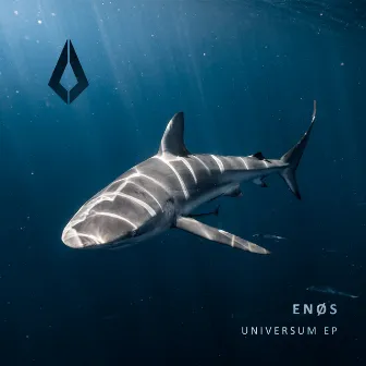 Universum by ENØS