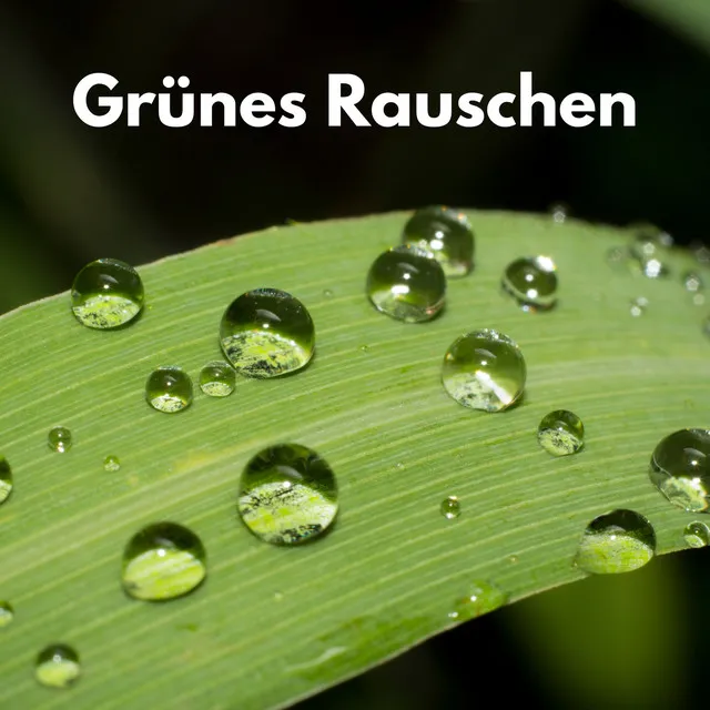 Grünes Rauschen