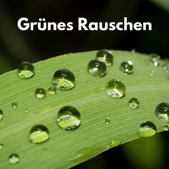 Grünes Rauschen by Rauschen Klänge