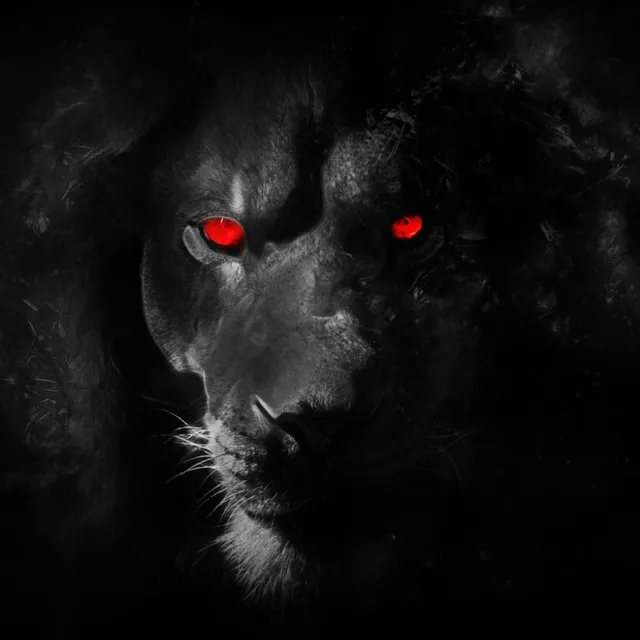 Black Lion