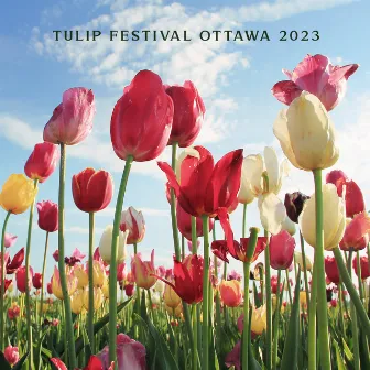 Tulip Festival Ottawa 2023 – Flower Jazz by Celebration Day Jazz