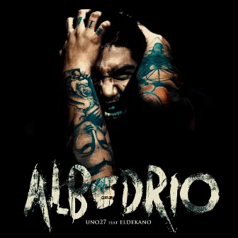 Albedrio by Unknown Artist