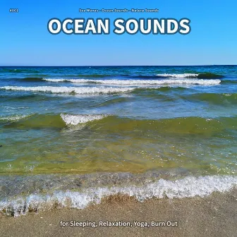 #001 Ocean Sounds for Sleeping, Relaxation, Yoga, Burn Out by Sea Waves