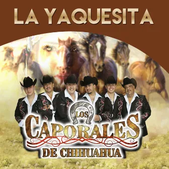 La Yaquesita by Los Caporales de Chihuahua