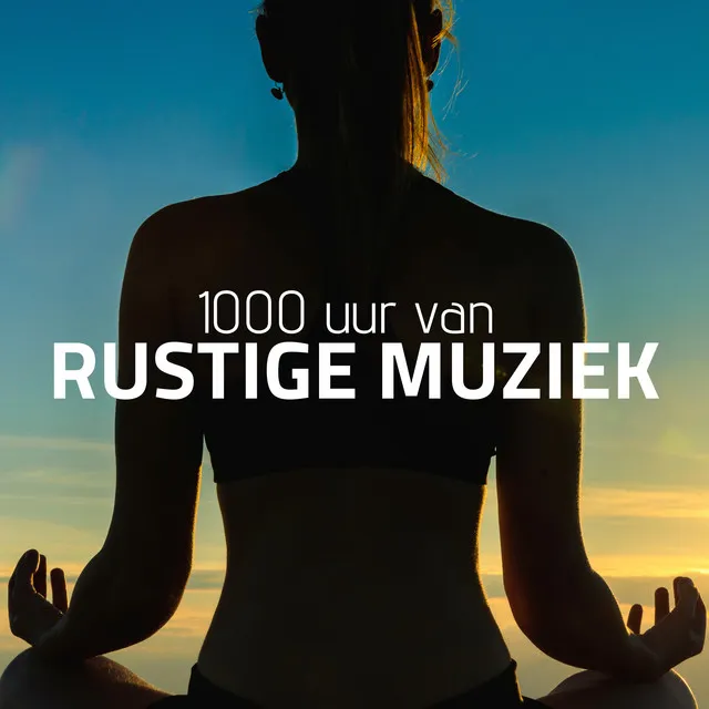 1000 uur van Rustige Muziek - Ontspanningsmuziek, Yoga muziek, Zen Muziek, Spirituele winkel, Natuurgeluiden