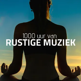 1000 uur van Rustige Muziek - Ontspanningsmuziek, Yoga muziek, Zen Muziek, Spirituele winkel, Natuurgeluiden by Meditation Spirit