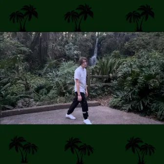 PALM TREE FREESTYLE by Logan Frank