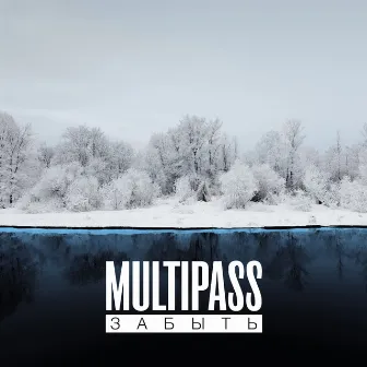 Забыть by Multipass