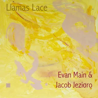 Llamas Lace by Jacob Jezioro