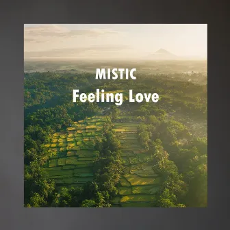 Feeling Love by MISTIC