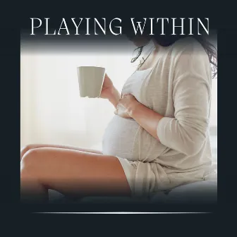 Playing Within by Womb Sounds Heartbeat